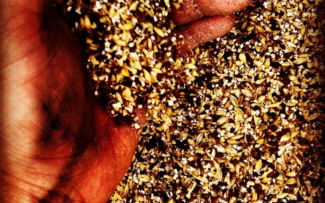 Why We Started The Craft Beer Diaries