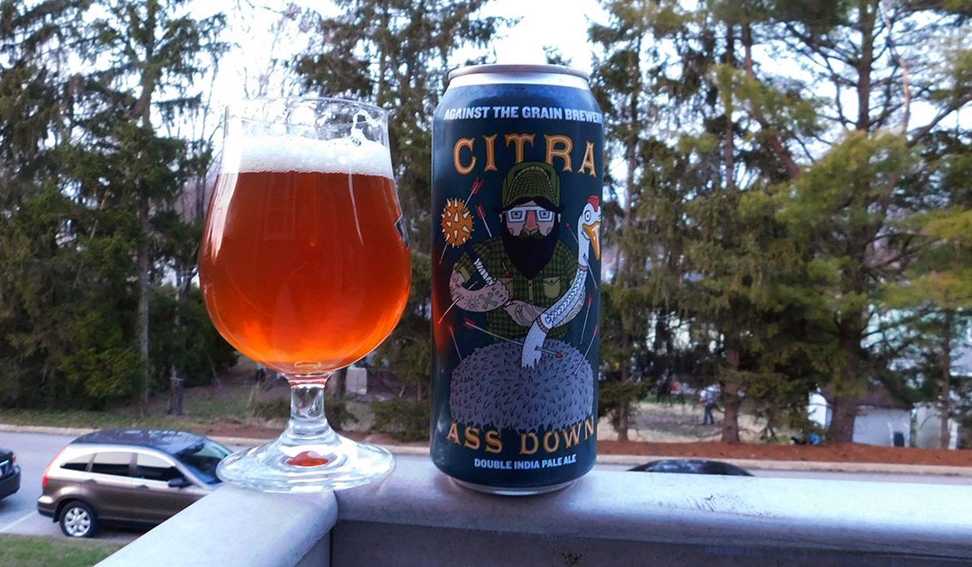 Review: Citra Ass Down by Against the Grain Brewery